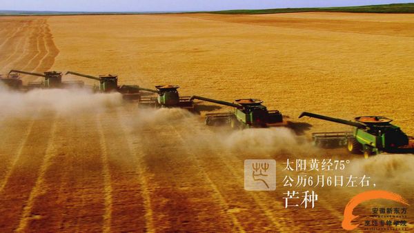 【舌尖上的24节气】芒种至 梅雨季除湿全靠TA 