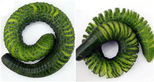 云南新东方烹饪学校 云南新东方 超级厨师 Super Chef 刀工王 刀工比赛