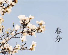 舌尖上的二十四节气 春分