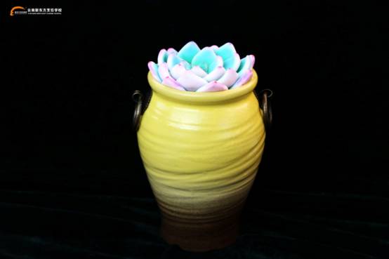 这是一篇来自新东方小编的反击……