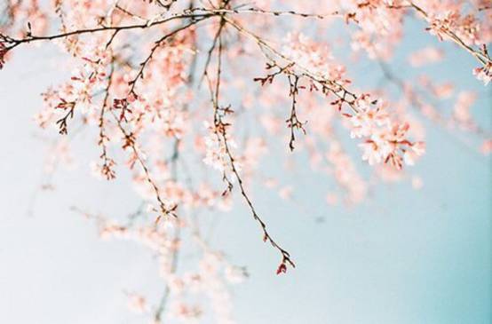 “女神节”最强送礼攻略……