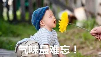 最强嗅觉，尽在新东方