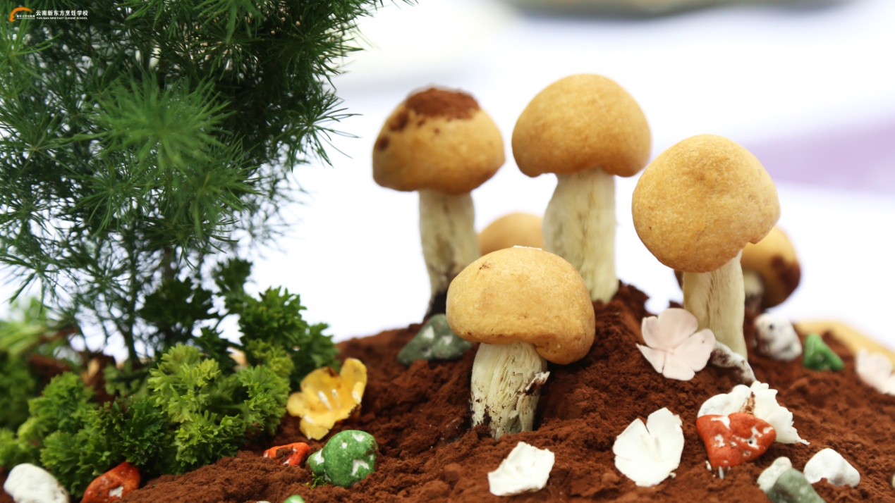 云南新东方受邀助力国际青年烹饪艺术节