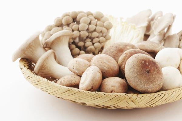 新东方饮食推荐之中考篇