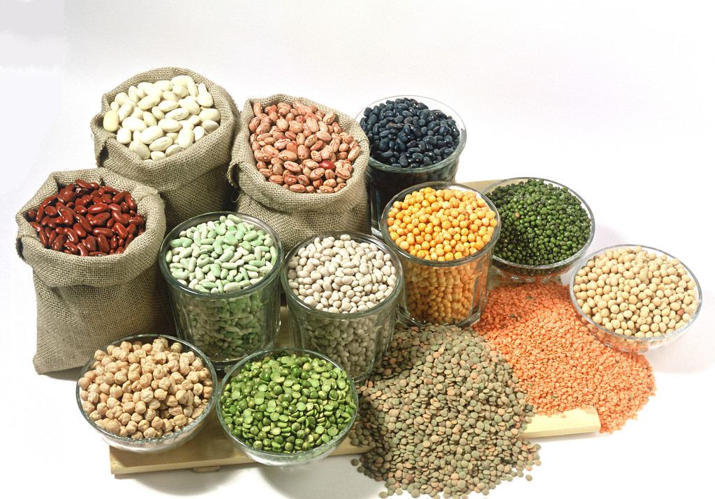 新东方饮食推荐之中考篇