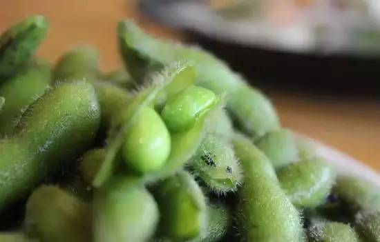 新东方饮食推荐之中考篇