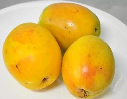 新东方美食推荐之酸木瓜