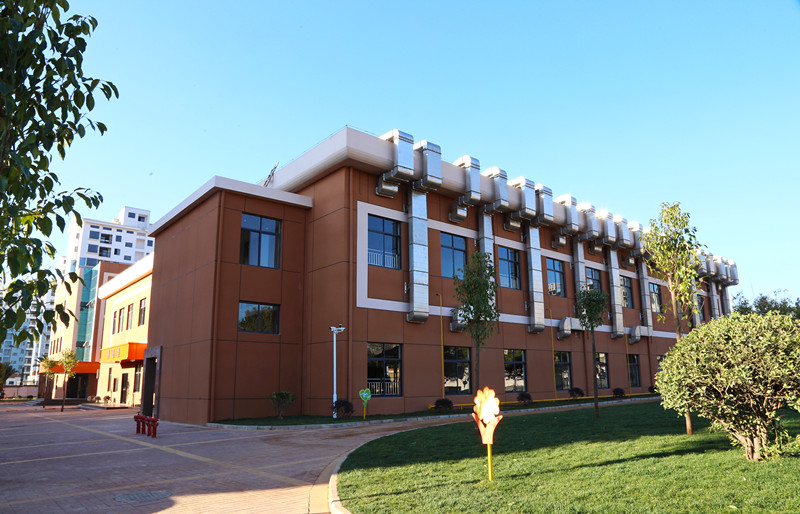 春风送暖迎新岁！