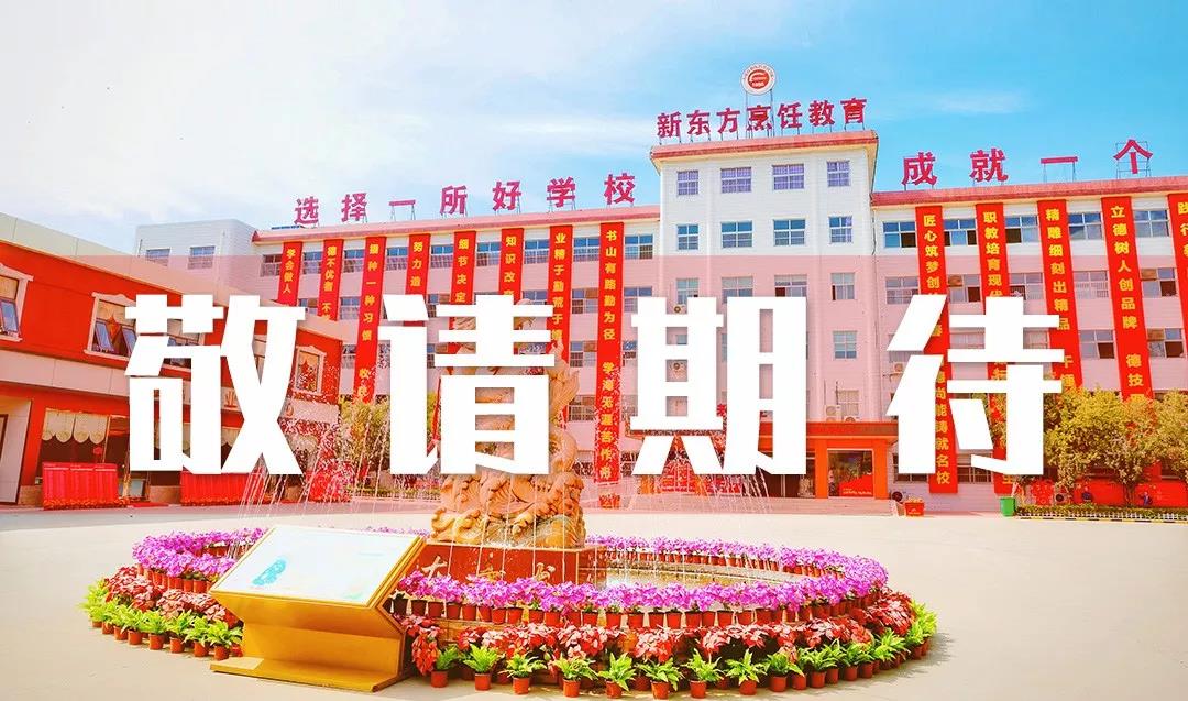 观一场五湖四海烹饪绝技，品百味珍馐肴馔饕餮盛宴，观赛指南在这